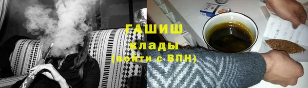 тгк Бородино