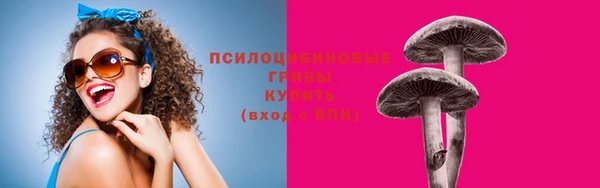 тгк Бородино
