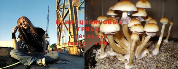 марки lsd Бронницы