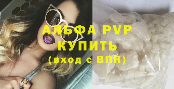 шишки Богородицк